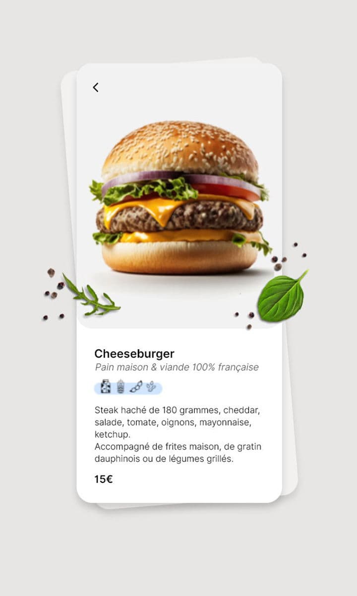 menu digital cheeseburger details